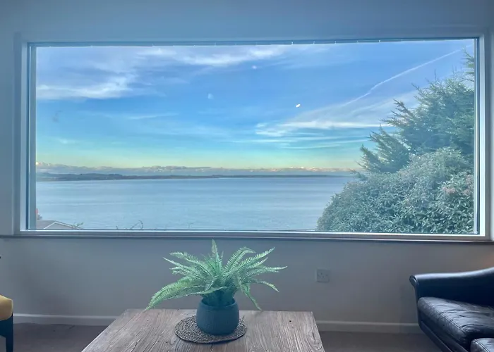 The Lookout
